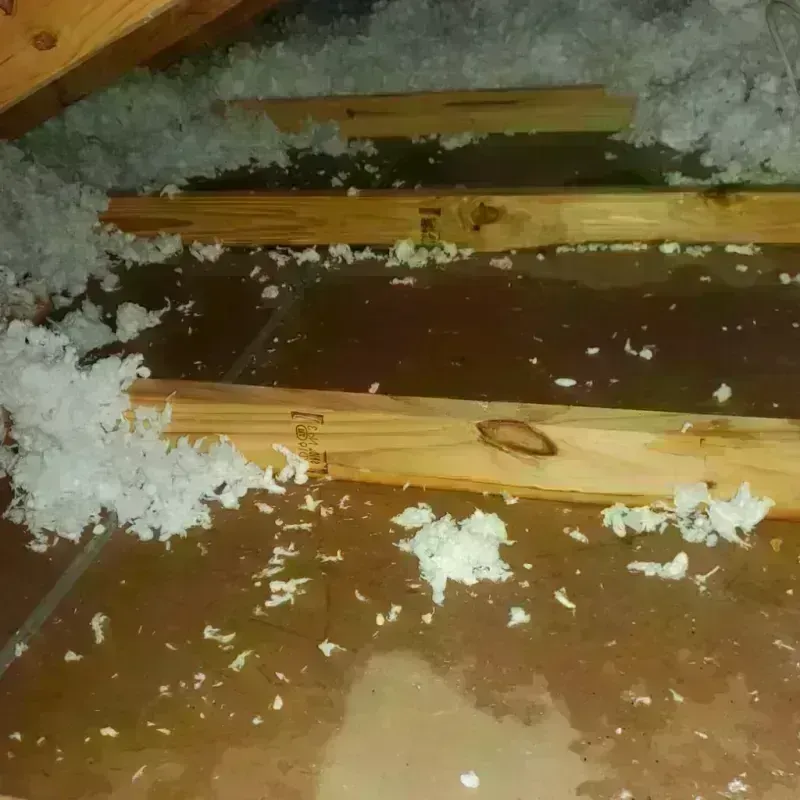 Attic Water Damage in North Reading, MA